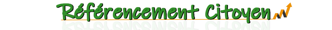 consultant SEO Lille